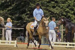 Zuchtschau_Fissau_06042_w.m