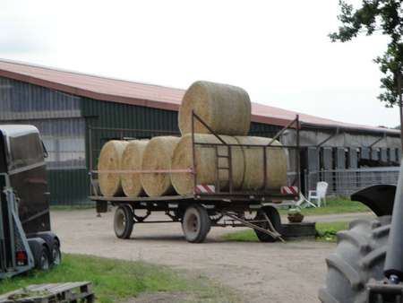 Stroh_Bredeneek_2009_4.l