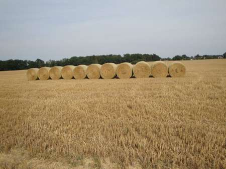 Stroh_Bredeneek_2009_6.l